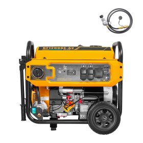 Portable Generator, Gasoline 13500W Peak Watt, LPG 12000W Peak Watt & Natural Gas 11000W Peak Watt Tri-Fuel Generator