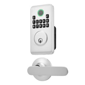 Keyless Entry Door Lock with Handle Set, Electronic Keypad Deadbolt with Lever Handles, Pioneering Easy-Grip Design, Customizable User Codes (Color: Silver, Type: Panel + Independent Handle Set)