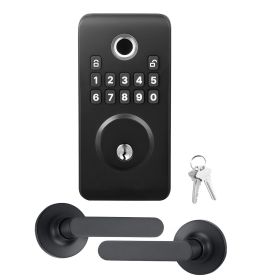 Fingerprint Door Lock Set, Electronic Biometric Deadbolt Keyless Entry Door Lock with Handle, Pioneering Easy-Grip Design, Auto Locking, One-Time (Color: Matte Black, Type: Panel + Independent Handle Set)
