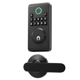 Keyless Entry Door Lock with Handle Set, Electronic Keypad Deadbolt with Lever Handles, Pioneering Easy-Grip Design, Customizable User Codes (Color: Matte Black, Type: Panel + Independent Handle Set)