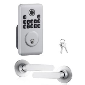 Fingerprint Door Lock Set, Electronic Biometric Deadbolt Keyless Entry Door Lock with Handle, Pioneering Easy-Grip Design, Auto Locking, One-Time (Color: Silver, Type: Panel + Independent Handle Set)