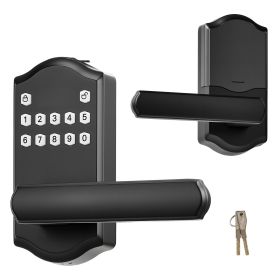 Keyless Entry Door Lock with Handle, Electronic Lever Door Handle with Keypad, Customizable User Codes, Keyed Entry, Auto Lock, Anti-Peeking Pass (Color: Matte Black, Type: Panel + Handle Type)